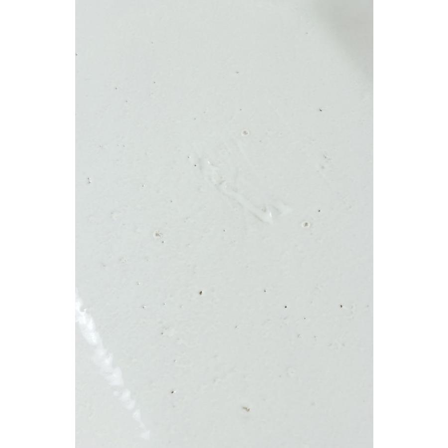 【P5倍】R?gence -Oval Platter / 29cm x 19.5cm(PLTRGN1) Astier de Villatte(アスティエ・ド・ヴィラット) | ASTIER de VILLATTE. | 05