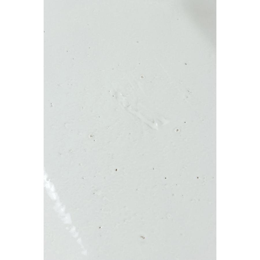 【P10倍】R?gence -Oval Platter / 29cm x 19.5cm(PLTRGN1) Astier de Villatte(アスティエ・ド・ヴィラット) | ASTIER de VILLATTE. | 05