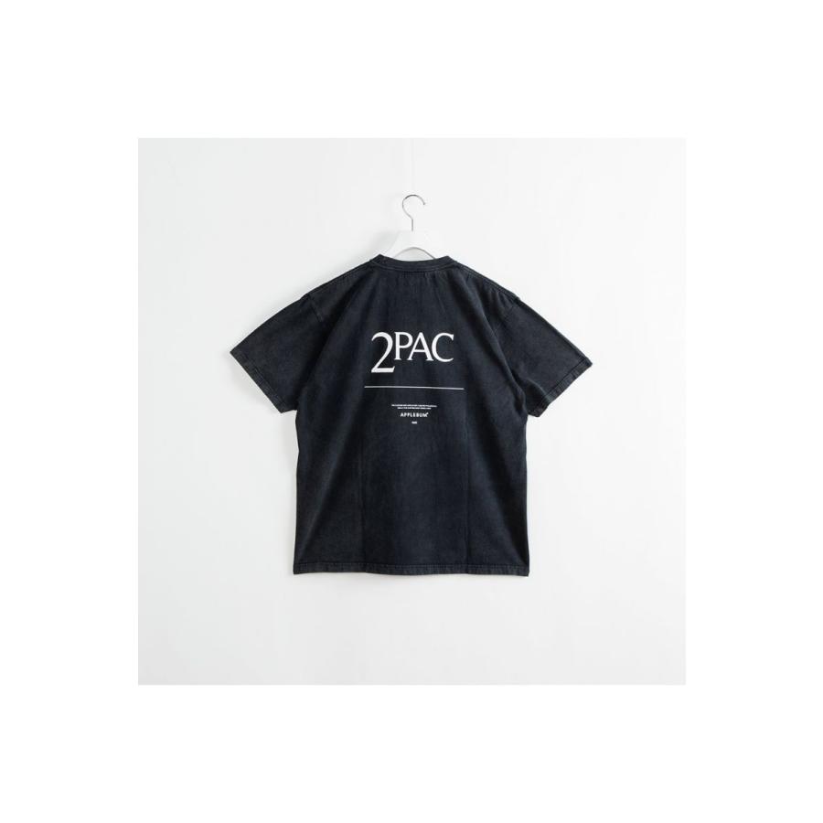 Resurrected Vintage T-shirt (Smoke)(TS2311105) Applebum(アップルバム) | APPLEBUM | 01