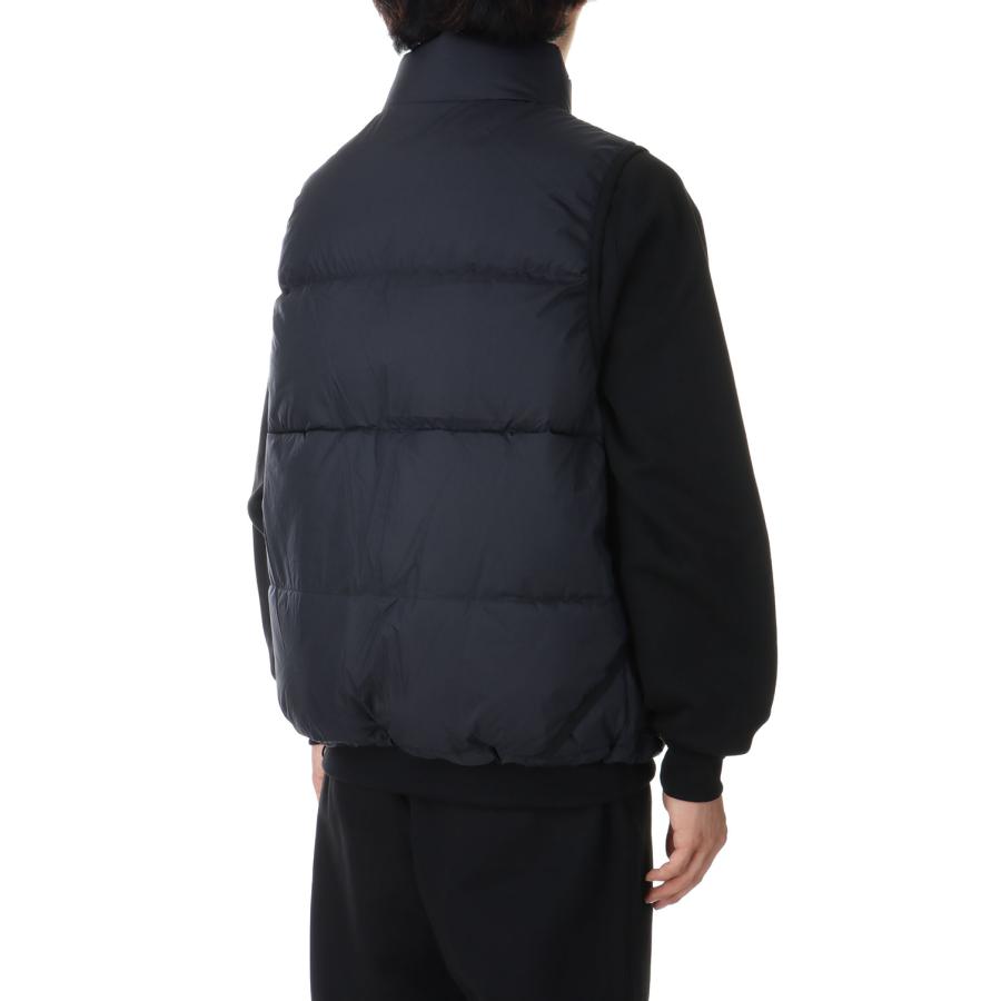 DAIWA PIER39 【P5倍】TECH ALPINE DOWN VEST - BLACK (BW-24024W