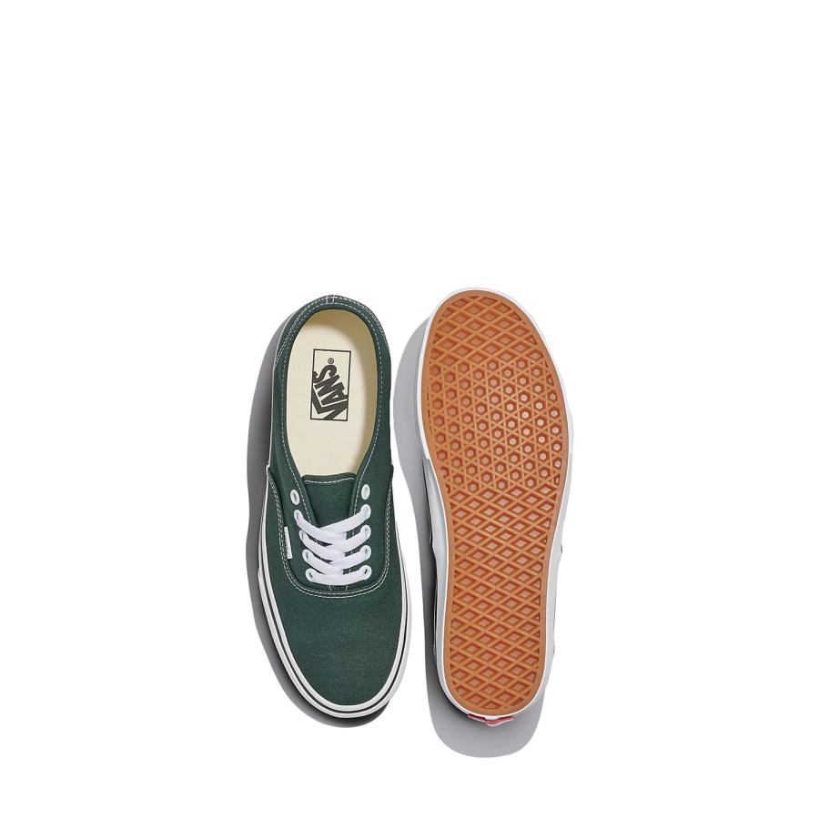 【P5倍】Authentic / COLOR THEORY Scarab (VN000D7YPRM) Vans(ヴァンズ) |  | 12