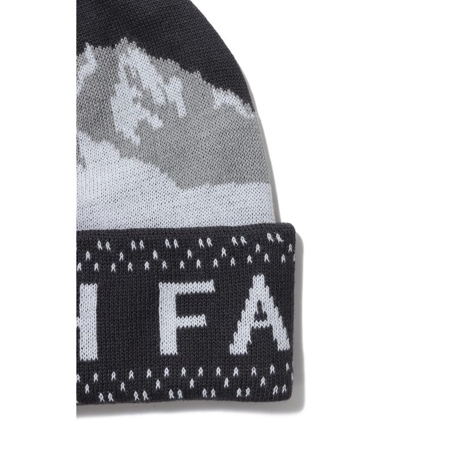 【P5倍 / SALE】Snow Bum Beanie - ASPHALT GRAY (NN42504) The North Face(ザ・ノース・フェイス) | THE NORTH FACE | 01