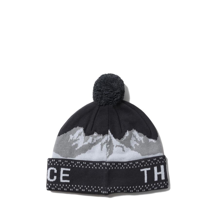 【P5倍 / SALE】Snow Bum Beanie - ASPHALT GRAY (NN42504) The North Face(ザ・ノース・フェイス) | THE NORTH FACE | 02