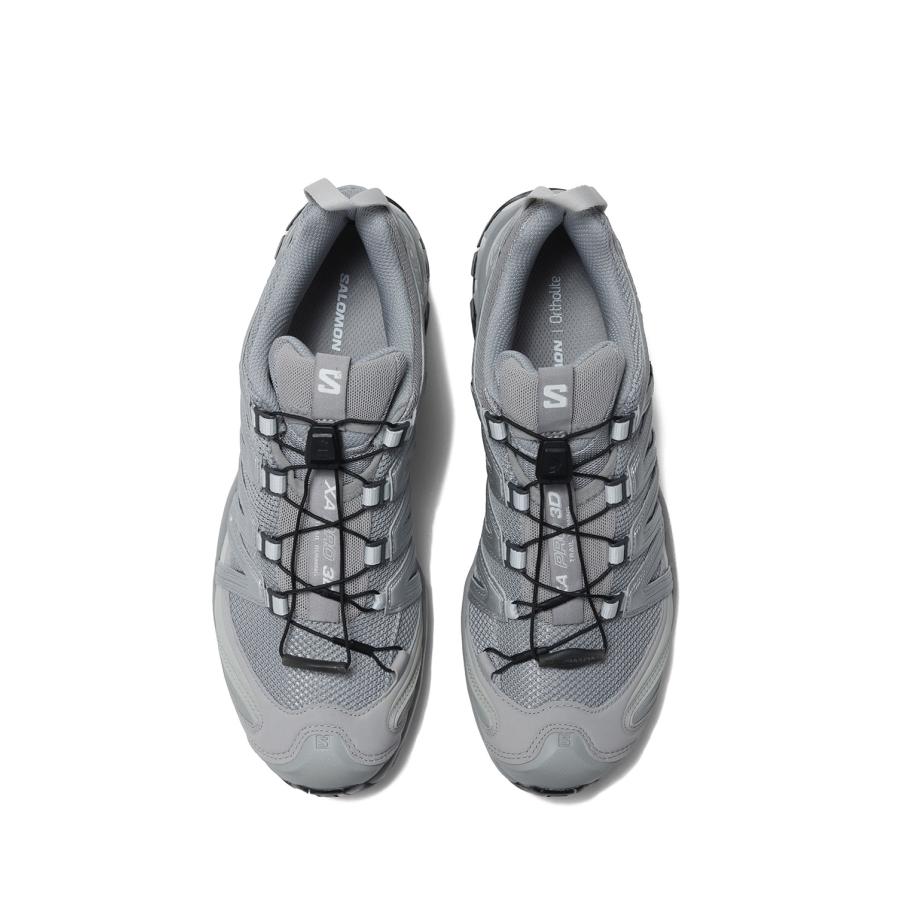 XA PRO 3D - ALLOY / FTW SILVER / LUNAR ROCK (L41617500) SALOMON(サロモン) |  | 09
