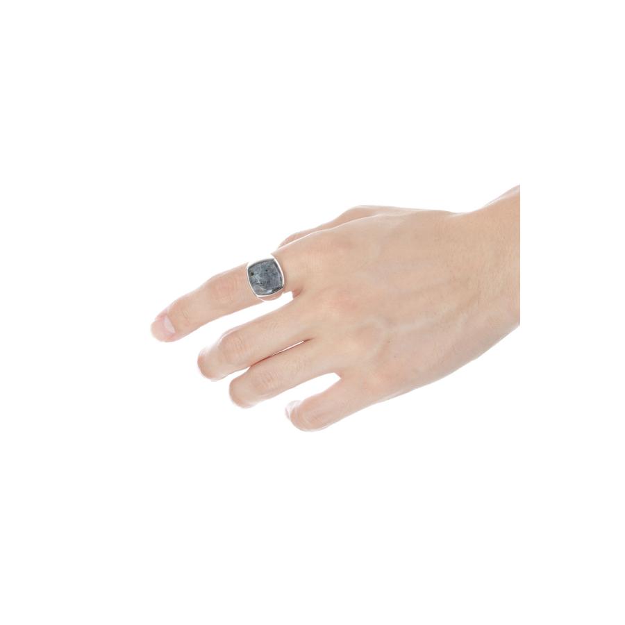 【P10倍】Cushion Larvikite - SILVER / LARVIKITE (101504) TOMWOOD(トムウッド) |  | 02
