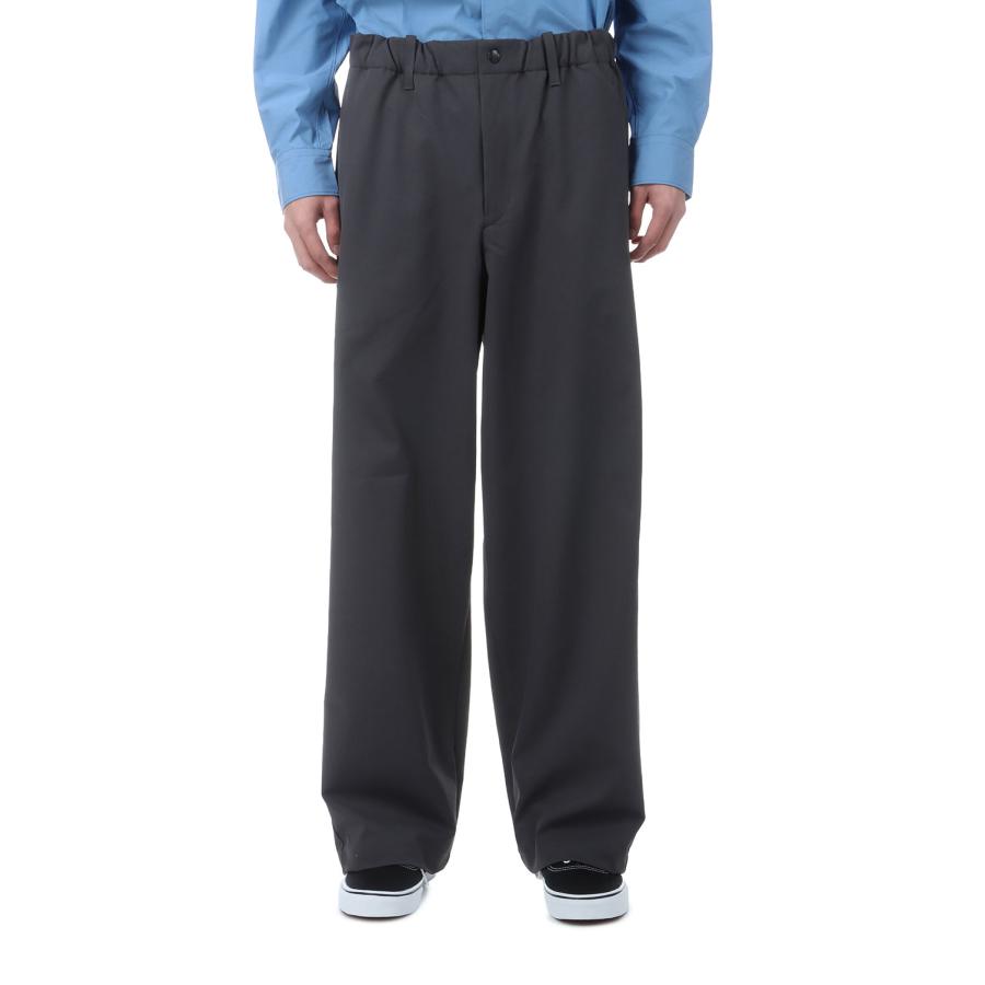 Baggy Straight Pants - BLACK (GL76177) Goldwin(ゴールドウイン) |  | 01