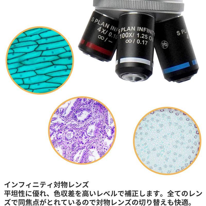 「送料無料・年末感謝」 SWIFT Stellar 1 Pro-B 研究用無限遠補正光学システム 実験用多機能顕微鏡 倍率40X-2500X ジーデントップ式双眼ヘ 【HOV1151597085】(40425円)