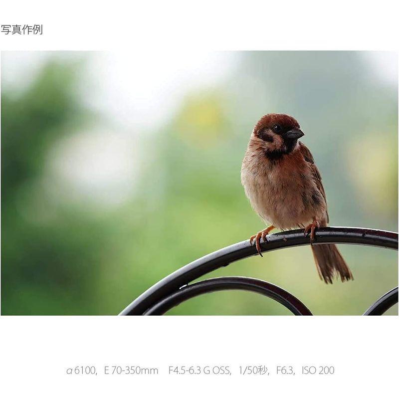 ソニー / 望遠ズームレンズ / APS-C / E 70-350mm F4.5-6.3 G OSS / Gレンズ / デジタル一眼カメラα