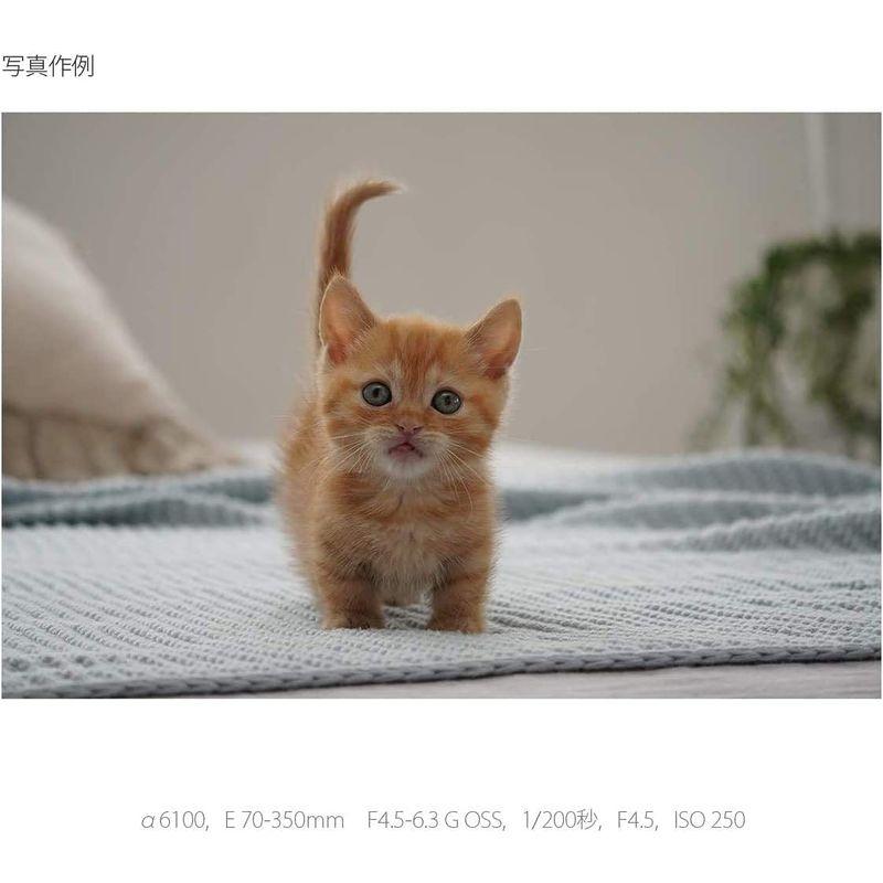 ソニー / 望遠ズームレンズ / APS-C / E 70-350mm F4.5-6.3 G OSS / Gレンズ / デジタル一眼カメラα