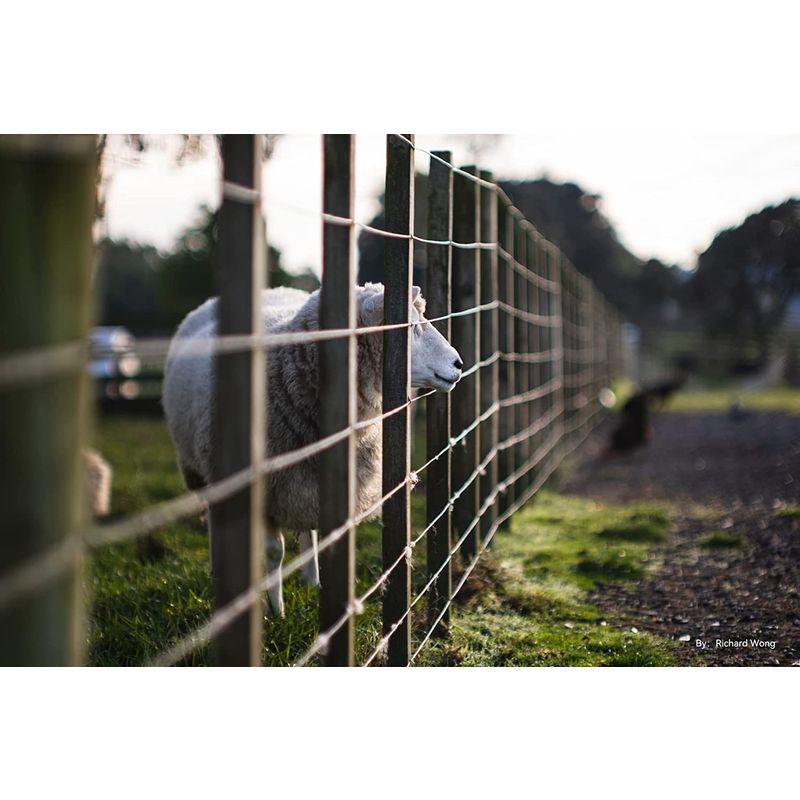 銘匠光学 TTArtisan 50mm f/0.95 C ソニーEマウント・APS-C (ブラック×シルバー) 50mm TTArtisan f/0 ソニーEマウント APS ブラック×シルバー