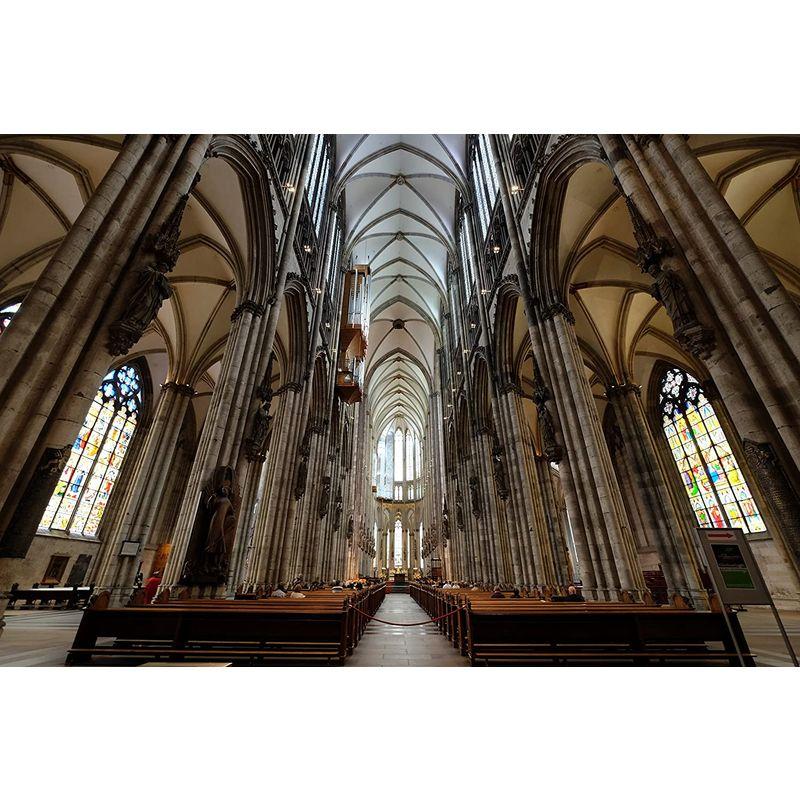 限定素材を使用 FUJIFILM 超広角ズームレンズ XF10-24mmF4 R OIS 【O2926448832】(102730円)