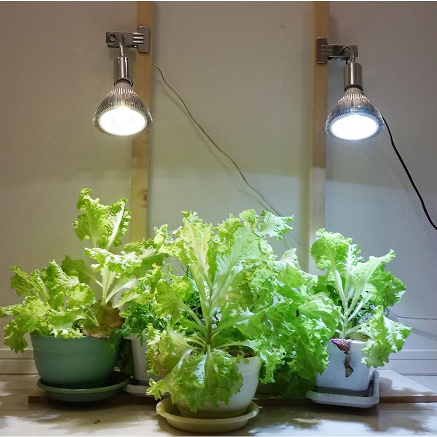 日本全国送料無料 Led Plantlight 18w クリップタイプ 植物育成使用 白色電球 E26 観葉植物 水耕栽培 水草栽培 Deep Sea Mermaid 通販 Yahoo ショッピング 輝く高品質な J Metalogradnja Rs