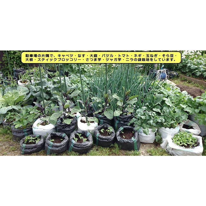 花 野菜の種まき 袋栽培 落ち葉入れ袋 メッシュ栽培袋uv黒pe 10枚入り 実用新案登録品手軽に自宅で家庭菜園 身近で野菜栽培 霜対 Deep Sea Mermaid 通販 Yahoo ショッピング