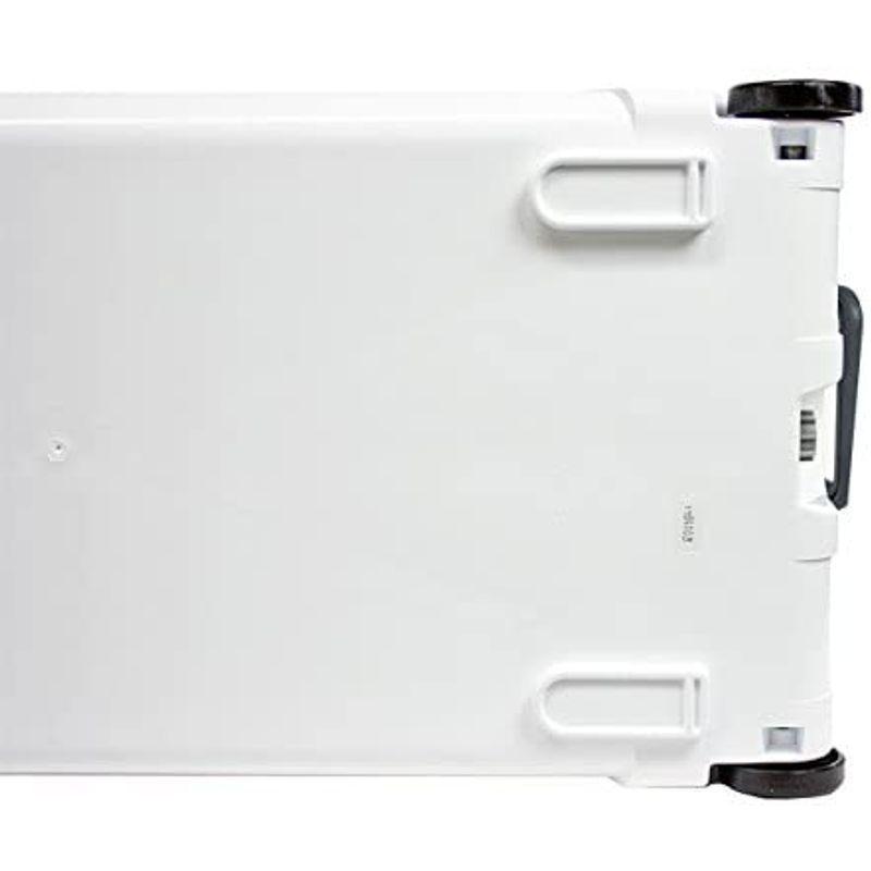 伸和(SHINWA) ホリデーランドクーラー48H 48H ホワイト 伸和 SHINWA ホリデーランドクーラー48H 48H ホワイト