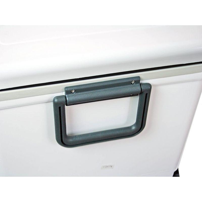 伸和(SHINWA) ホリデーランドクーラー48H 48H ホワイト 伸和 SHINWA ホリデーランドクーラー48H 48H ホワイト