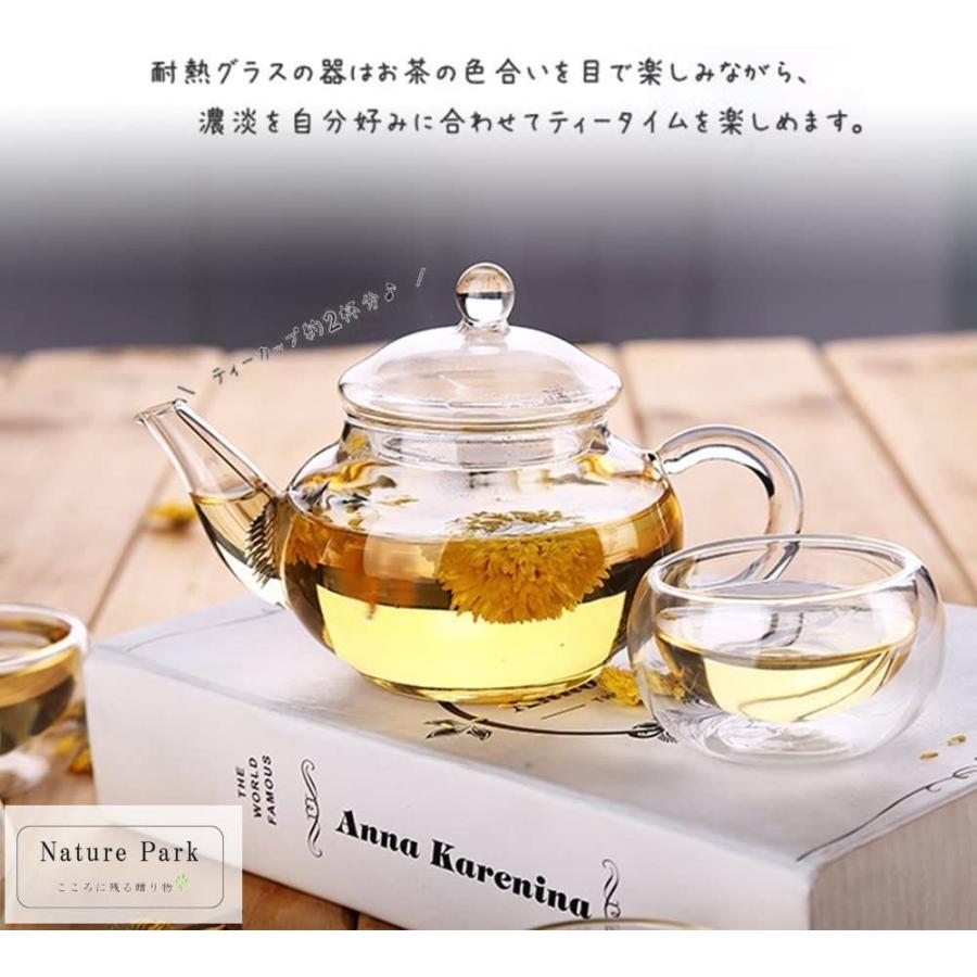 Nature Park 250ml 耐熱ガラス ティーポット 急須 ガラス 紅茶ポット かわいい 小サイズ 業務用 飲食店 お店用 一人暮ら Deep Sea Mermaid 通販 Yahoo ショッピング