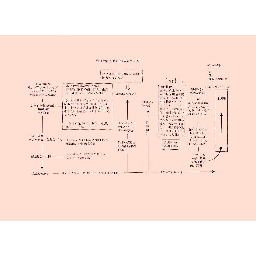 2倍希釈用海洋深層水調合液Flora５００ｃｃボトル２４本C/S |  | 16