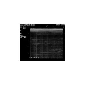 2倍希釈用海洋深層水調合液Flora５００ｃｃボトル２４本C/S |  | 18