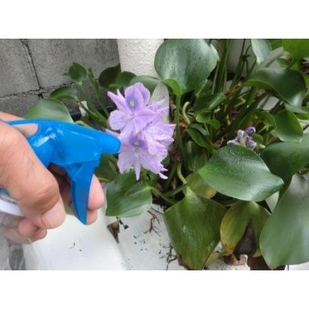 2倍希釈用海洋深層水調合液Flora５００ｃｃボトル２４本C/S |  | 20