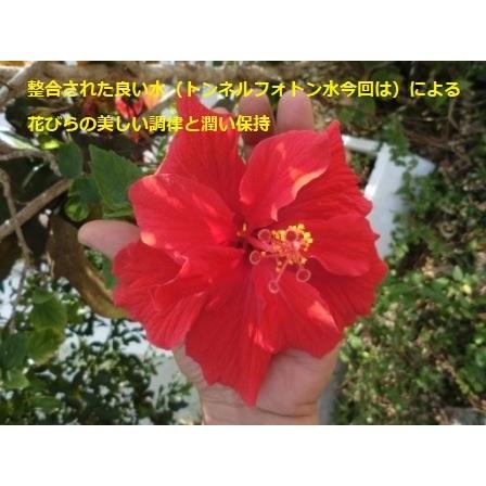 2倍希釈用海洋深層水調合液Flora５００ｃｃボトル２４本C/S |  | 03