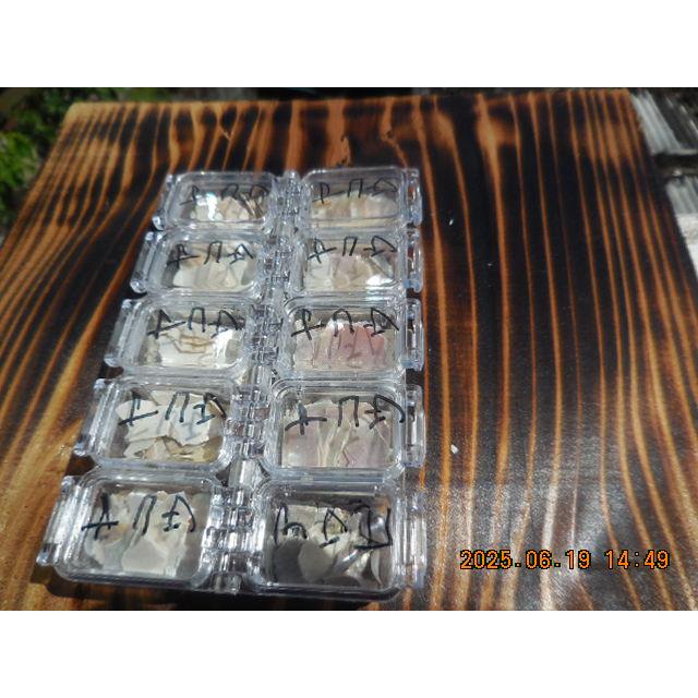 夜光貝３ｍｍ×３ｍｍ〜１０ｍｍ×１０ｍｍの夜光貝真珠層薄チップ面積A5サイズ | 