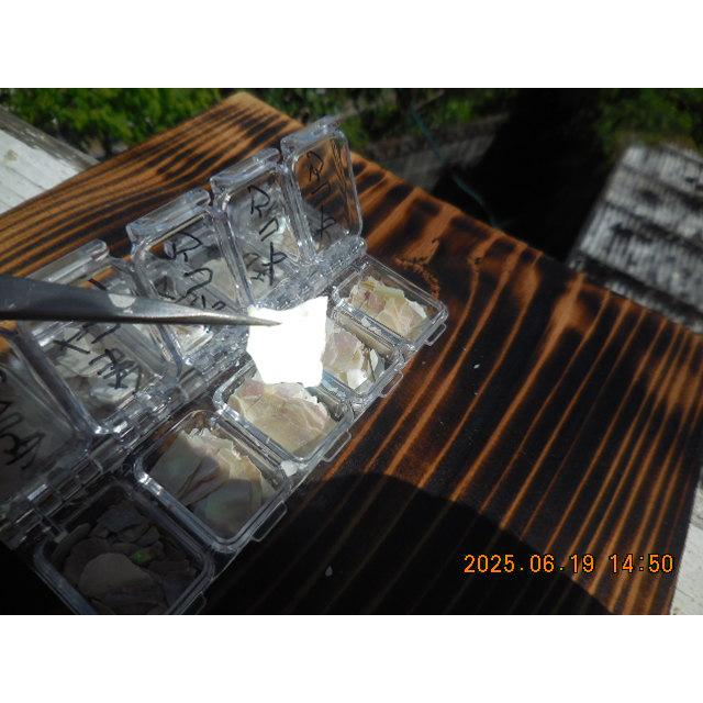 夜光貝３ｍｍ×３ｍｍ〜１０ｍｍ×１０ｍｍの夜光貝真珠層薄チップ面積A5サイズ |  | 01