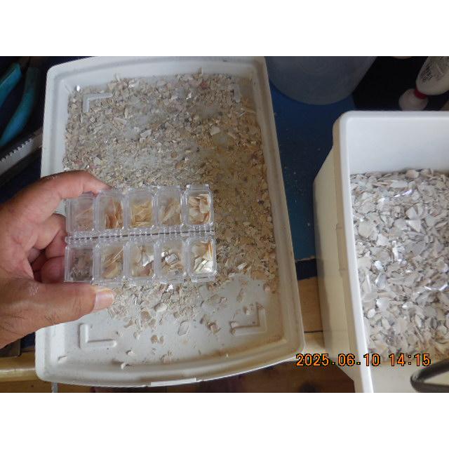 夜光貝３ｍｍ×３ｍｍ〜１０ｍｍ×１０ｍｍの夜光貝真珠層薄チップ面積A5サイズ |  | 07