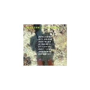 トンネルフォトン水６０ｄｂ生原料30ｃｃ真空スプレーボトルお試しテスト用 |  | 10