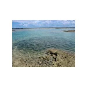 トンネルフォトン水６０ｄｂ生原料30ｃｃ真空スプレーボトルお試しテスト用 |  | 12