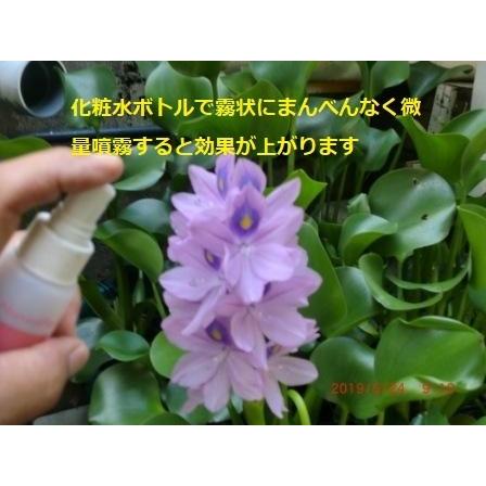 トンネルフォトン水６０ｄｂ生原料30ｃｃ真空スプレーボトルお試しテスト用 |  | 02