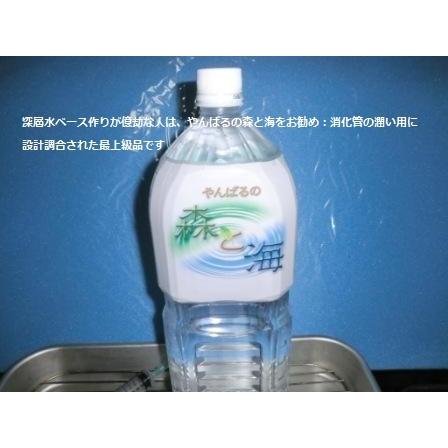 2倍希釈用深層水調合液やんばるの森と海2リットルボトル6本C/S |  | 01