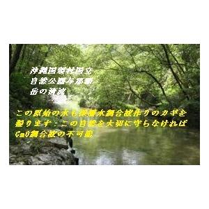 2倍希釈用深層水調合液やんばるの森と海2リットルボトル6本C/S |  | 10
