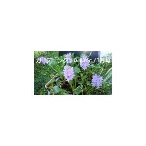 2倍希釈用深層水調合液やんばるの森と海2リットルボトル6本C/S |  | 05