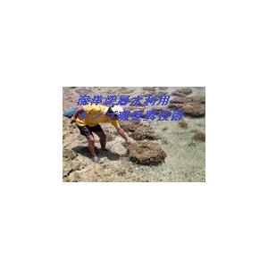 2倍希釈用深層水調合液やんばるの森と海2リットルボトル6本C/S |  | 06