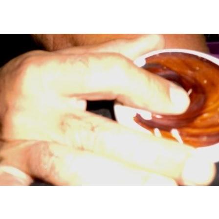 夜光貝大サイズの蓋12個セット : 夜光貝と海洋深層水調合液販売