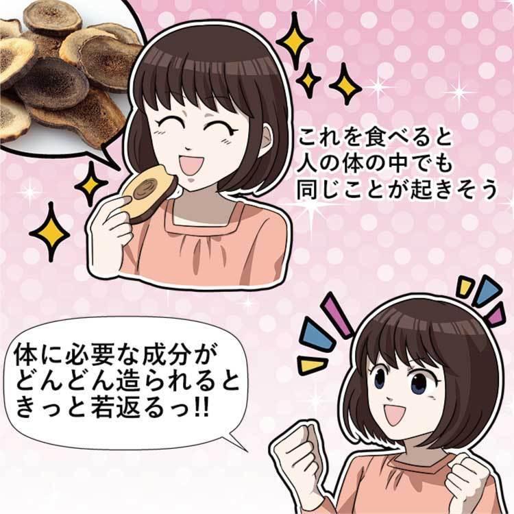 鹿茸 鹿 袋角 食べる 鹿の角とゴーヤー 送料無料 鹿茸 ニガウリ 沖縄産