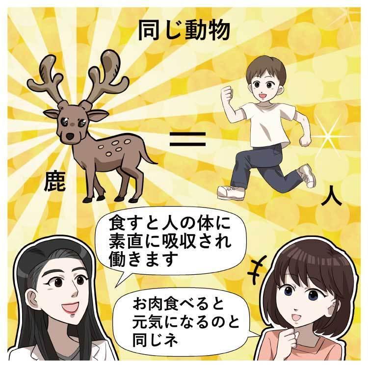 鹿の角とゴーヤー【送料無料】鹿茸 ニガウリ 沖縄産 糖尿 血糖値 鹿 袋