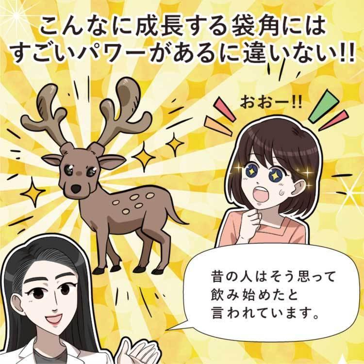 鹿の角とゴーヤー【送料無料】鹿茸 ニガウリ 沖縄産 糖尿 血糖値 鹿 袋