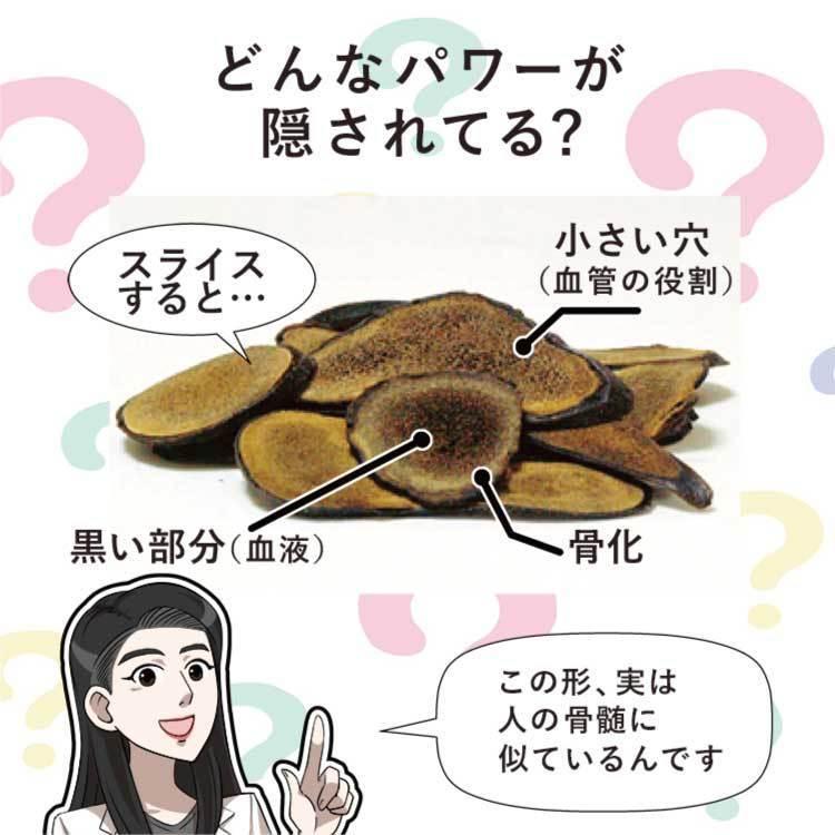 鹿の角とゴーヤー【送料無料】鹿茸 ニガウリ 沖縄産 糖尿 血糖値 鹿 袋