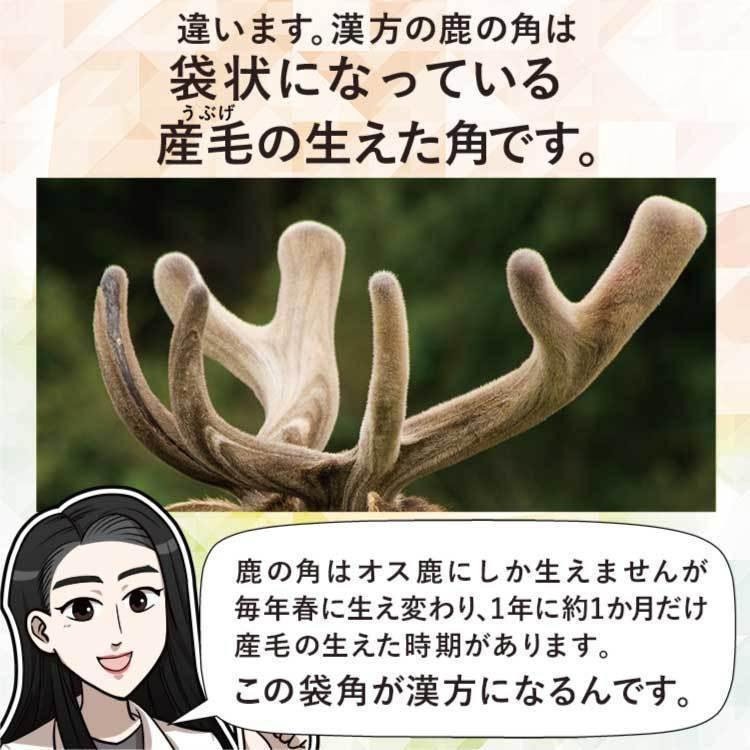 袋角　鹿茸 メシマコブ 鹿茸 桑 桂皮 鹿の角 サルノコシカケ カルシウム ガン