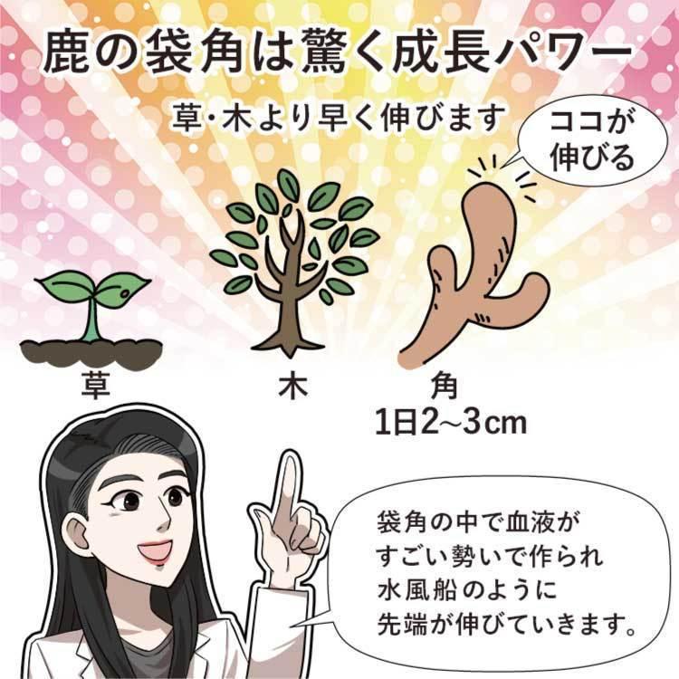 メシマコブ 鹿茸 桑 桂皮 鹿の角 サルノコシカケ カルシウム ガン