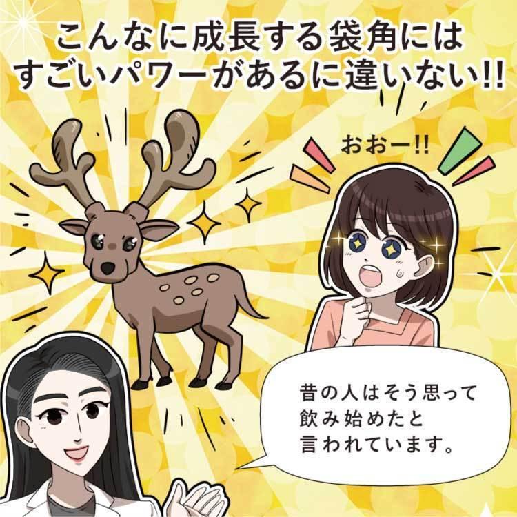 メシマコブ 鹿茸 桑 桂皮 鹿の角 サルノコシカケ カルシウム ガン