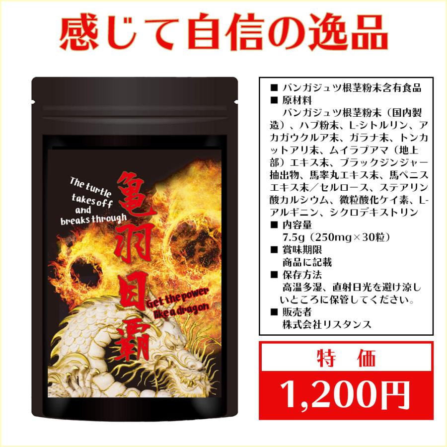 ロットンダ バンガジュツ マカ シトルリン アカガウクルア ハブ ガラナ クラチャイダム 馬睾丸 馬ペニス 亀羽目覇 メンズサプリ 精力剤ではなくサプリ S007gt ディアサプリyahoo 店 通販 Yahoo ショッピング