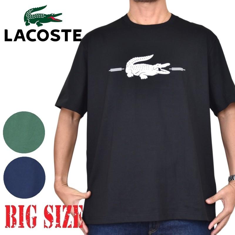 LACOSTE（ラコステ） SALE 大きいサイズ メンズ クルーネック 半袖T