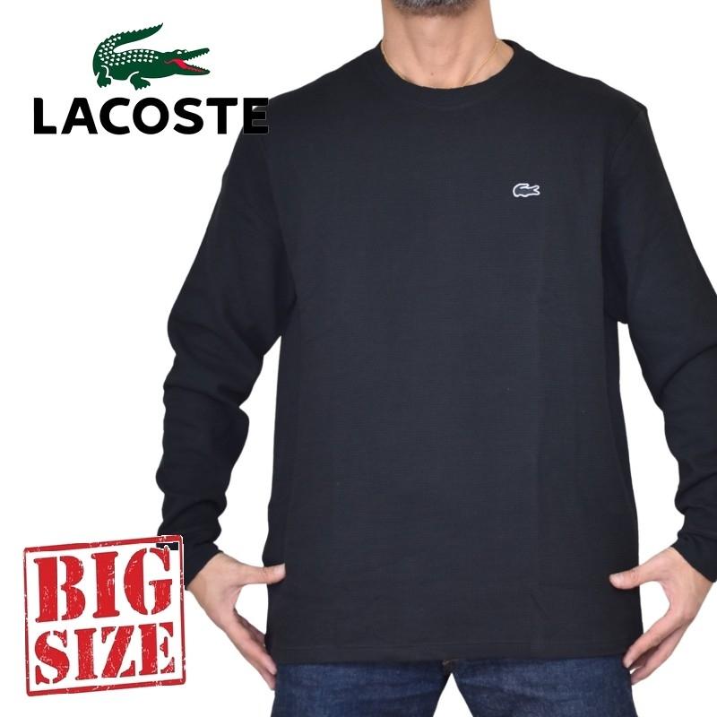 LACOSTE（ラコステ） 大きいサイズ メンズ クルーネック ワッフルロン
