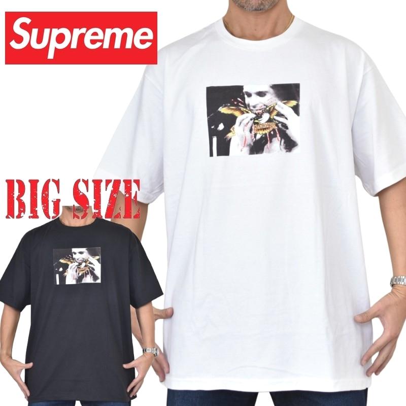Supreme（シュプリーム） 大きいサイズ メンズ ANTIHERO Ozzy Tee 半袖