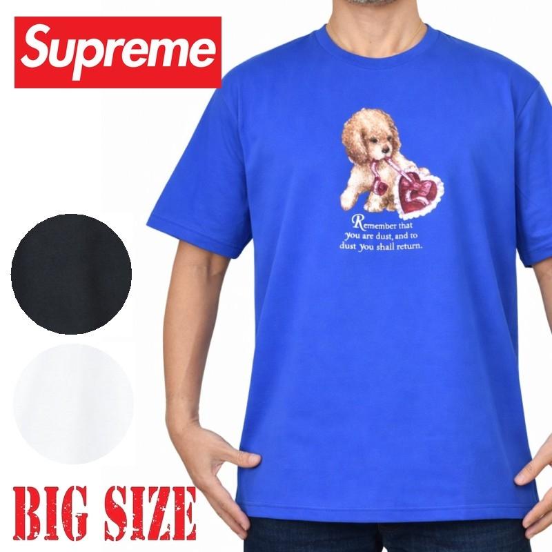 Tee Dust 25FW Supreme 【新品】 黒 1713003_00.png.png L トップス