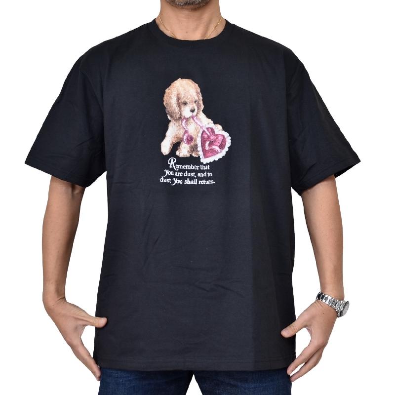 Supreme（シュプリーム） 大きいサイズ メンズ Dust Tee 半袖 Tシャツ