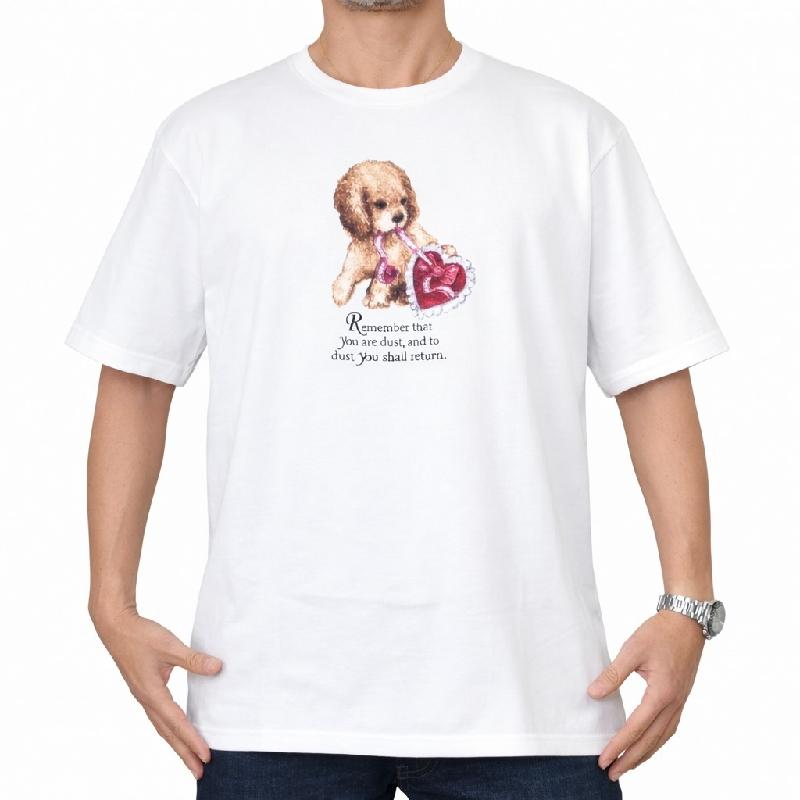 Supreme（シュプリーム） 大きいサイズ メンズ Dust Tee 半袖 Tシャツ