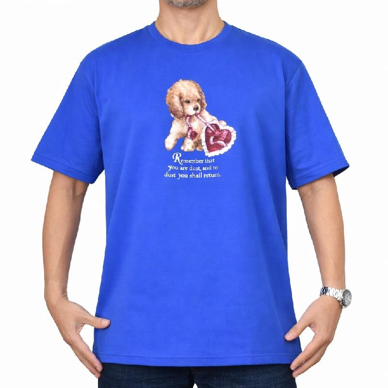 Supreme（シュプリーム） 大きいサイズ メンズ Dust Tee 半袖 Tシャツ